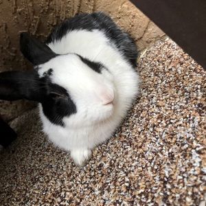 Meet your Posher, Mandi